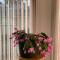 Cozy Guest Rooms Near UBC, Downtown and Beaches