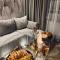 Gold Apartament Katowice - 卡托维兹