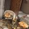 Gold Apartament Katowice - 卡托维兹