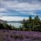 Lavender Cottage at Akaroa Lavender - 阿卡罗阿