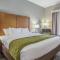 Comfort Inn Jasper South