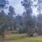 Cabaña Don Pepe, en Estancia Don Domingo - Curicó