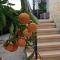 Villa Best Holiday- breathtaking sea views, amazing garden, private pool, BBQ, next to CORAL BAY, Lower Peyia, Paphos