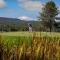 Jackpine - Unit 8
