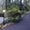 Mountain Lodge