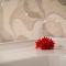 Au Cap Self Catering