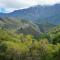 Assegai Rest