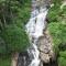 NatureWoodland
