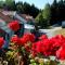 Tingvall B&B Eco-Lodge