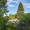Olive Tree Cottage