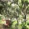 Ben Tre Farm Stay