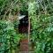 Charming cottage - walking distance to katoomba town center