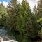 Alpenglow Lodge Bear Wonder One Bedroom by MVA