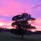 Back Valley Farmstay Bed and Breakfast