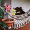 Casa Rural Oliveira do Bairro