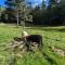 Gîte Nature au Chambon-sur-Lignon: Terrasse, Wifi, Proche Activités et Commerces - FR-1-582-137