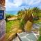 Basking Shark, Studio Cottage With Superb Sea Views By Beach - Sennen