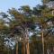 Bain de forêt - Lodges Cosy & Spa - 讷沙泰勒阿尔代洛