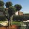 Villa Silvia
