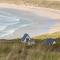Machaire Rabhartaigh Glamping - Mín Lárach