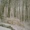 Forest Mountain Escape- Beautiful Mountaintop Escape in Mendon, VT, 20 min to Killington 14 to Pico, home - Mendon
