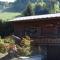 Le Petit Liseron - Morzine