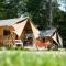 Glamping Belgisch Limburg