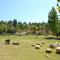 Glasshouse In The Winelands - Stellenbosch