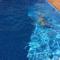 Baleal Beach Apartment