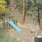 Creekside Craftsman Cabin with Jacuzzi - Alpine Splendor 6 Mins to downtown - Boulder