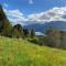 Las Bandurrias Eco Hostal