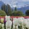 Valle Florido 2