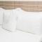 Hotel Cinco Monteria