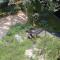 Apartamente Neptun Bosco