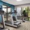 Hampton Inn Roanoke/Hollins - I-81
