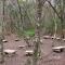 Bosque dos Beija-Flores Pousada e Spa - São Thomé das Letras