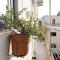 Modern & Spacious 3 Bedroom Apartment - Close to Sliema Promenade - 埃尔哥茨拉