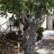 Apartments Tonci