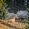 Lodge Nadgora