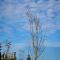 Durbuy insolite - Romantic Escape