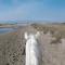 "Le Miradou" gite rural Camargue - Le Sambuc