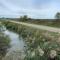 "La Pradeto" gite rural Camargue - Le Sambuc