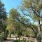 Il Falco - Rustico-Villa mit privatem Pool in Alleinlage