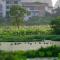 Yangshuo Hillside Homestay