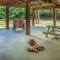 Bears, Bees and Trees - Sevierville