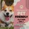 Foxhill Shores - WIFI outside pets