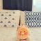 Happy Home Stay - Seul