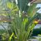 Aforetime Village - Amphoe Koksamui