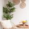 Cozy apt w balcony for a nice getaway in Polanco - Meksyk