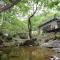 Forest Squirrel Pension - Gapyeong Forest Squirrel Pension - Gapyeong